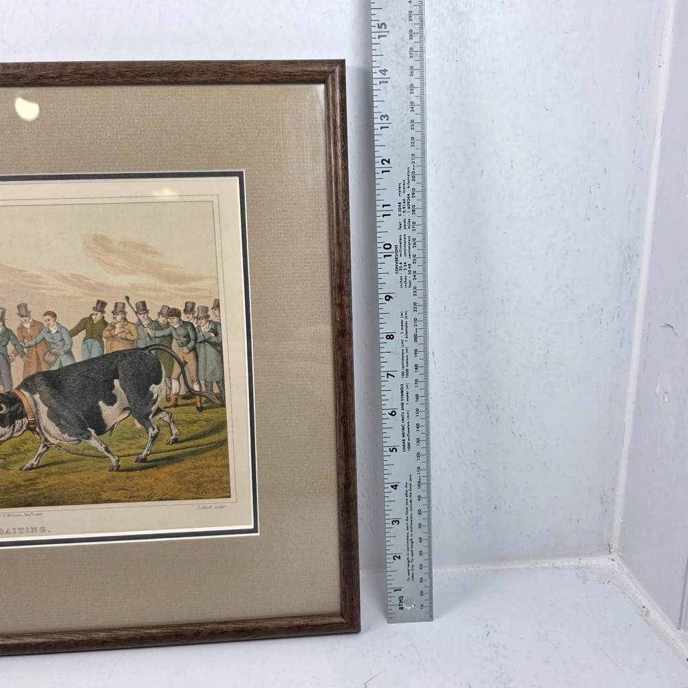 Henry Alken Bull Baiting Antique 1820 Hand Colored Aquatint I Clark Framed Print - Picture 11 of 12